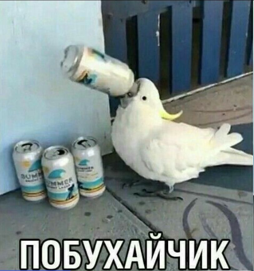 ПОБУХАЙЧИК