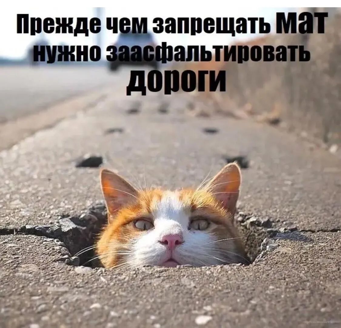 Прежде чем запрещать МАТ нужно заасфальтировать дороги