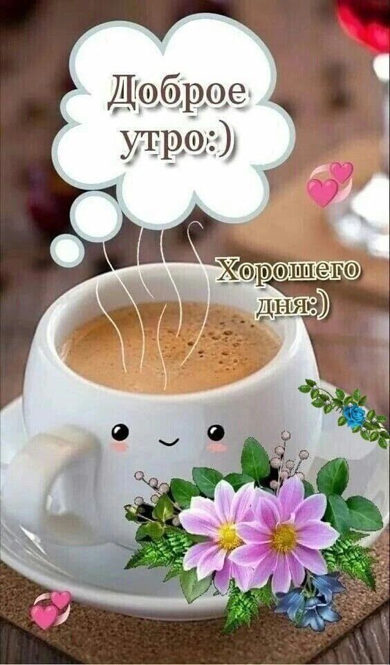 Доброе утро:)
Хорошего дня:)