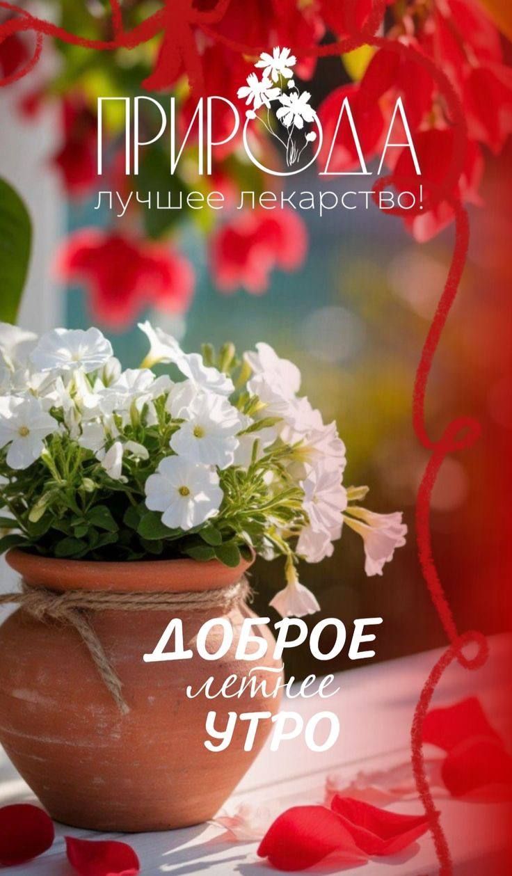 ПРИРОДА лучшее лекарство! ДОБРОЕ летнее УТРО