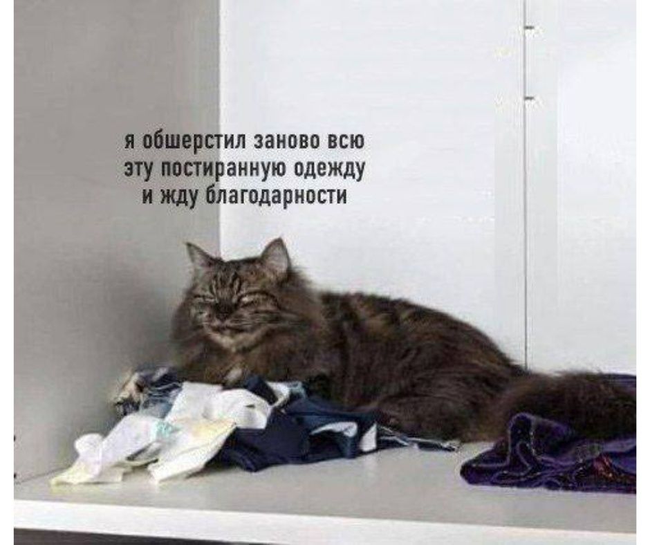 я обшерстил заново всю эту постриранную одежду и жду благодарности