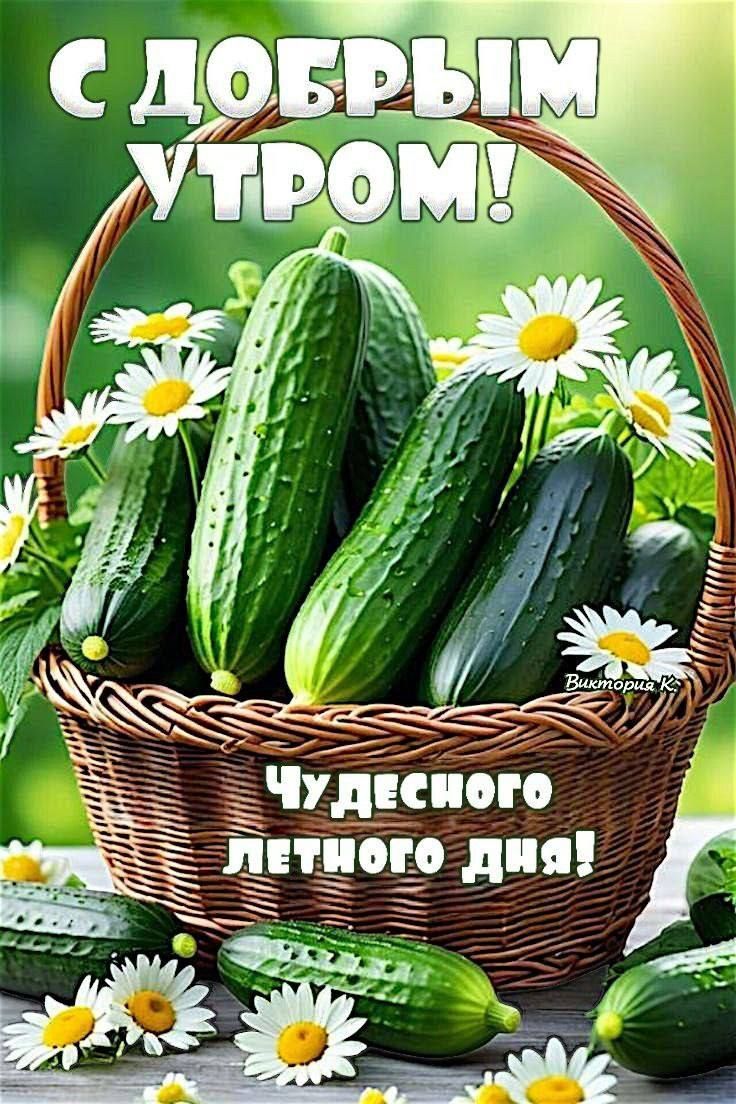 С ДОБРЫМ УТРОМ! ЧУДЕСНОГО ЛЕТНЕГО ДНЯ!