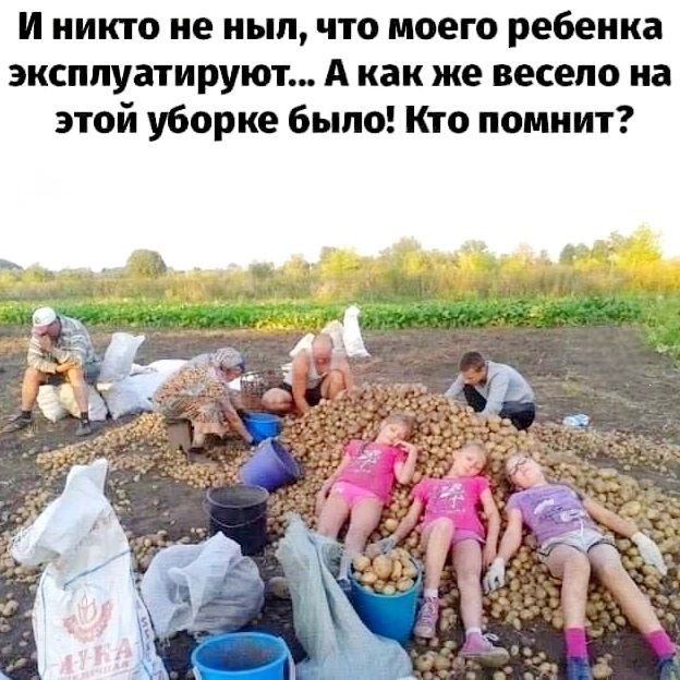 И никто не ныл, что моего ребенка эксплуатируют... А как же весело на этой уборке было! Кто помнит?