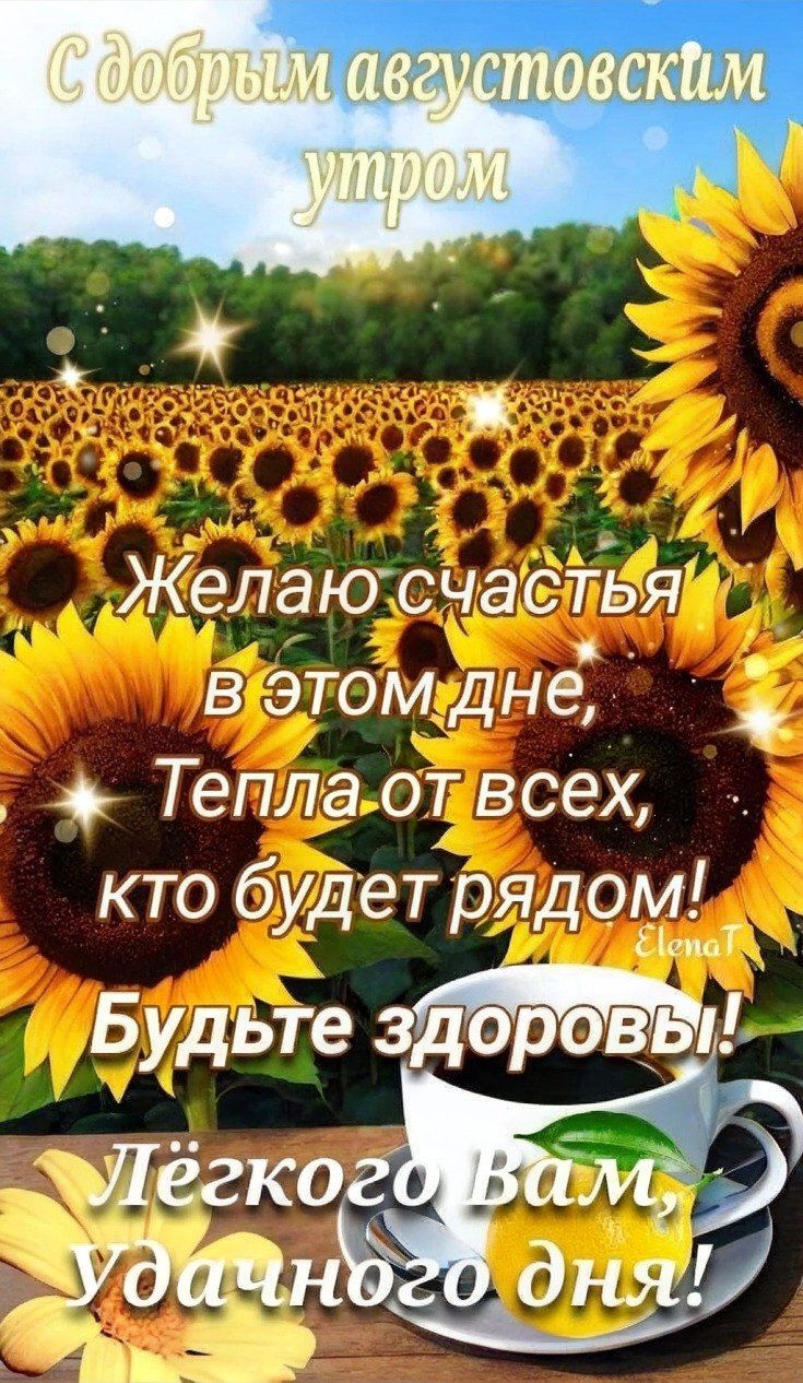 С добрым августовским утром
Желаю счастья в этом дне,
Тепла от всех, кто будет рядом!
Будьте здоровы!
Лёгкого Вам, удачного дня!