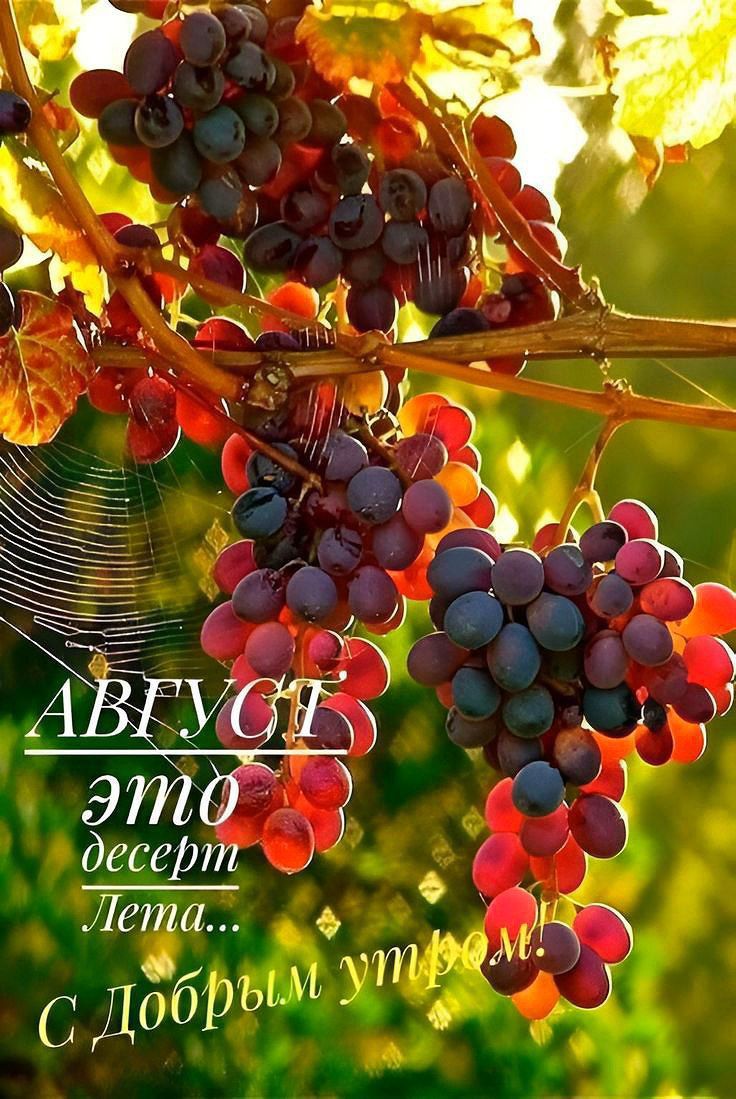 АВГУСТ это десерт Лета... С Добрым утром!