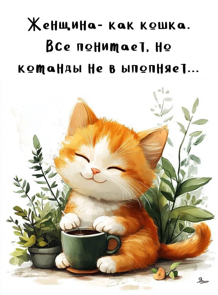 Женщина- как кошка. Все понимает, но котанды не выполняет...