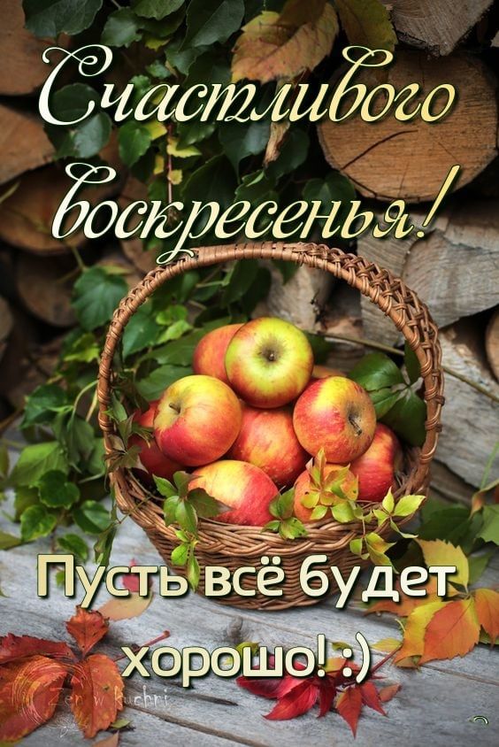 Счастливого воскресенья! Пусть всё будет хорошо! :)