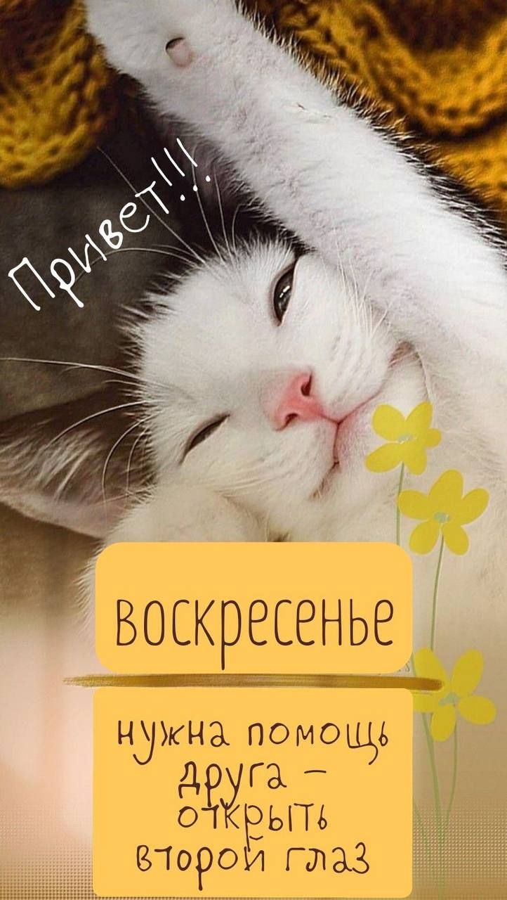 Привет!!! воскресенье нужна помощь друга – открыть второй глаз