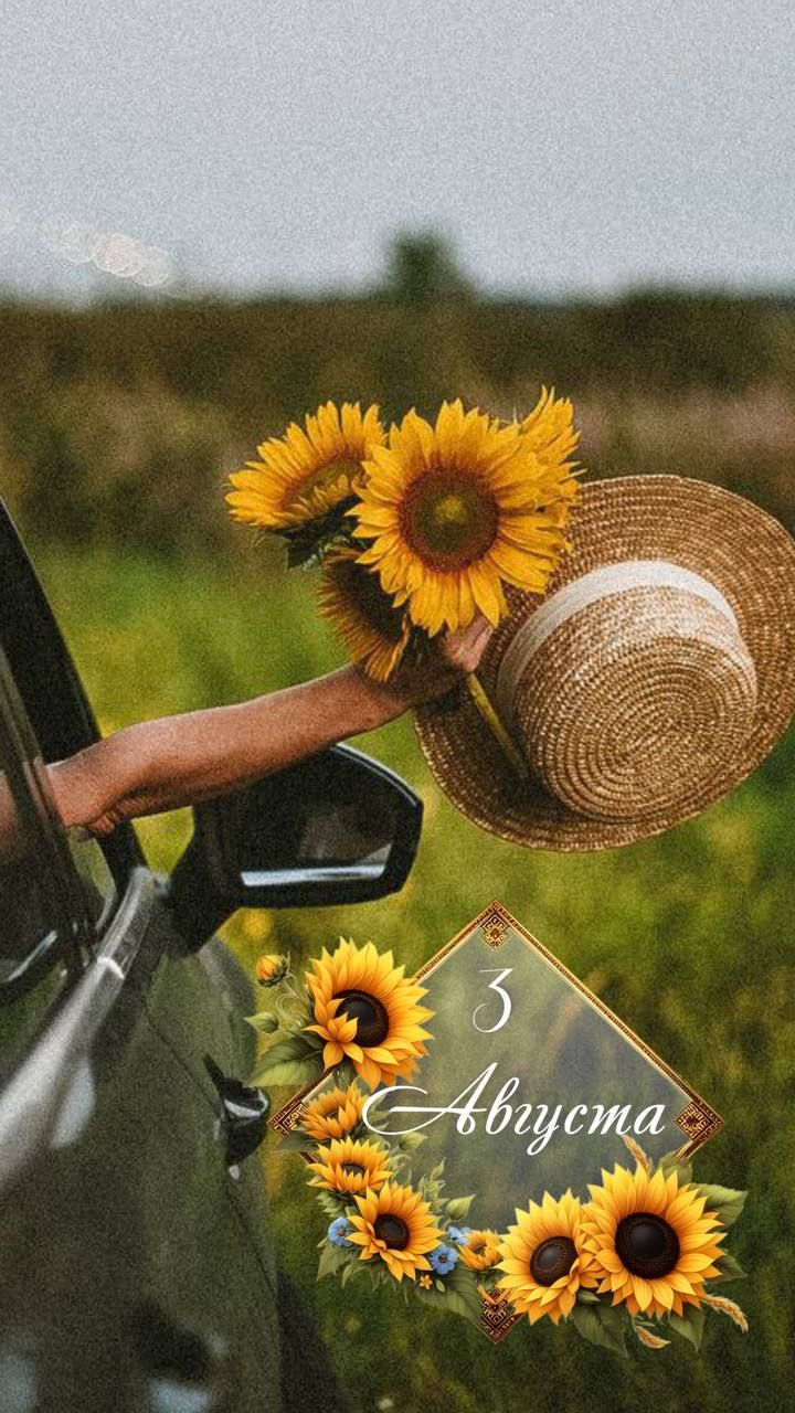 3 Августа