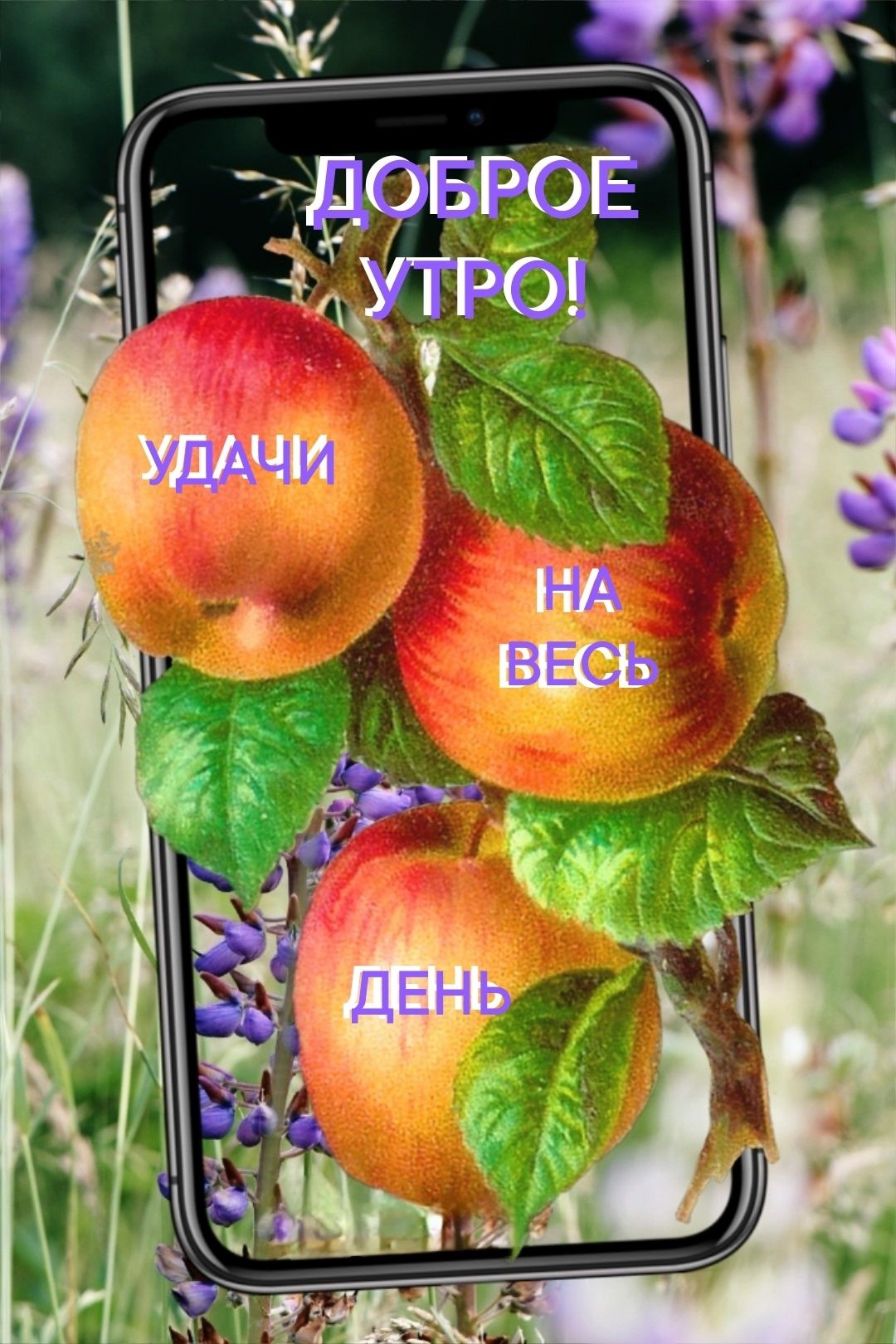 ДОБРОЕ УТРО! УДАЧИ НА ВЕСЬ ДЕНЬ