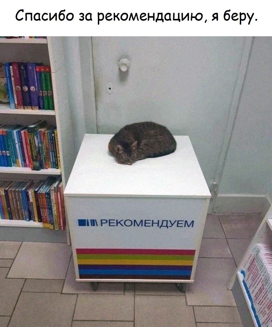 Спасибо за рекомендацию, я беру.