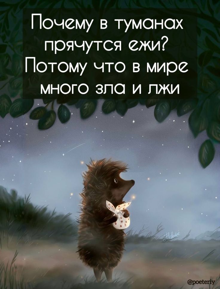 Почему в туманах прячутся ежи? Потому что в мире много зла и лжи