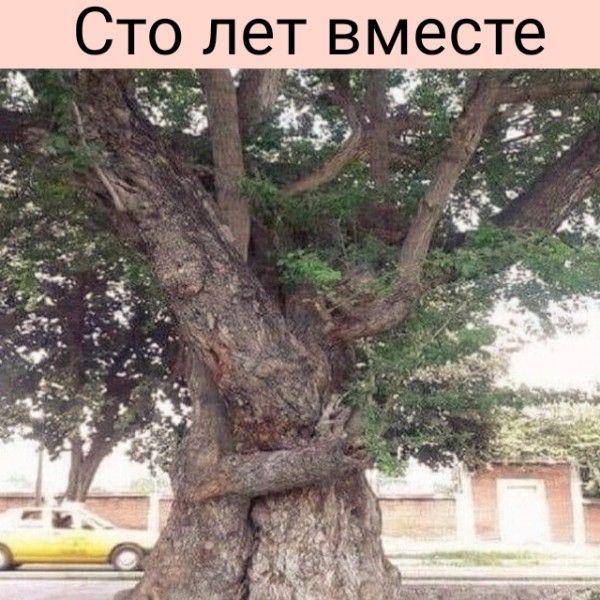 Сто лет вместе