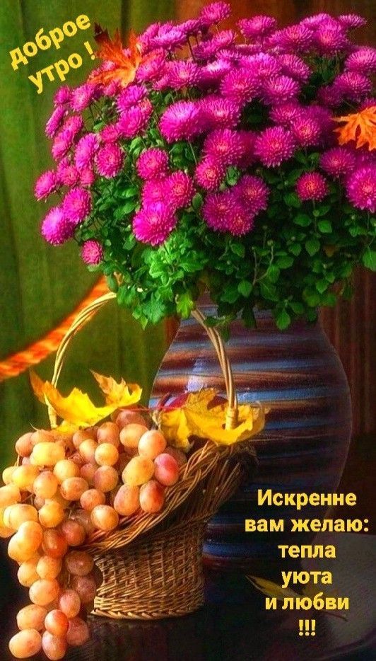 Доброе утро ! Искренне вам желаю: тепла, уюта и любви !!!
