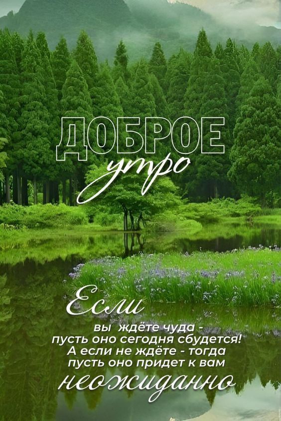 ДОБРОЕ утро
Если
вы ждетe чудо
пускай оно сегодня сбудется!
А если не ждeте - тогда
пускай оно придет к вам
неожиданно