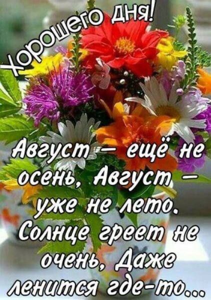 Хорошего дня!
Август – ещё не осень, Август – уже не лето.
Солнце греет не очень, Даже ленится где-то...