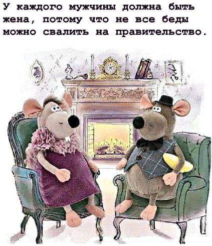 У каждого мужчины должна быть жена, потому что не все беды можно свалить на правительство.