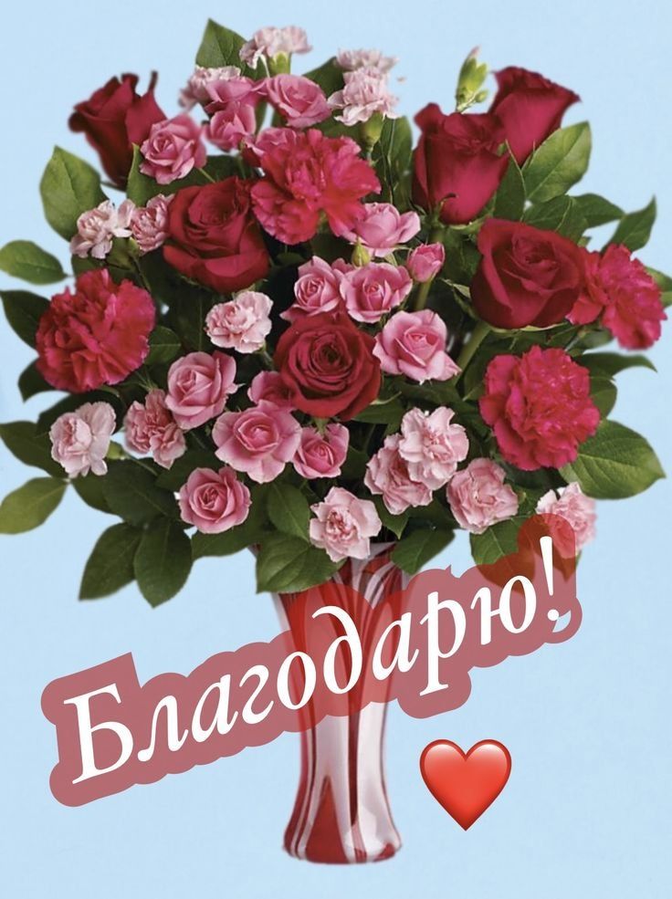 Благодарю! ❤️