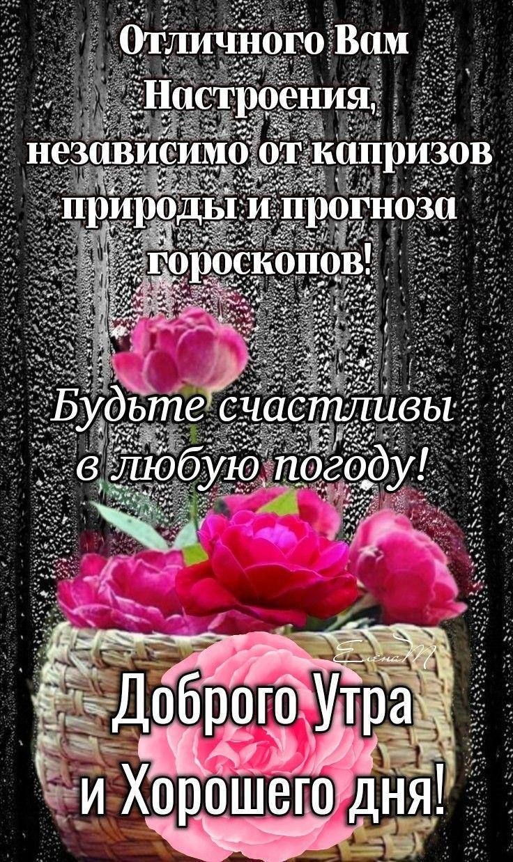 Отличного Вам Настроения, независимо от капризов природы и прогноза гороскопов! Будьте счастливы в любую погоду! Доброе Утра и Хорошего дня!