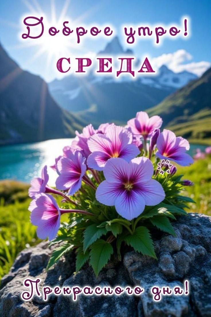 Доброе утро! СРЕДА Прекрасного дня!