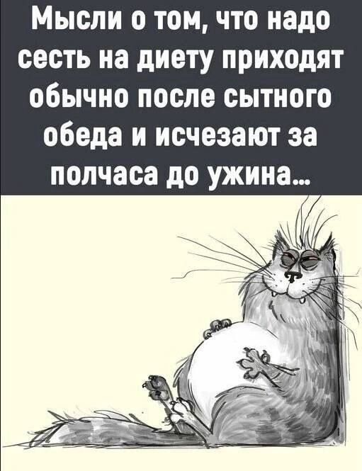 Мысли о том, что надо сесть на диету приходят обычно после сытного обеда и исчезают за полчаса до ужина...