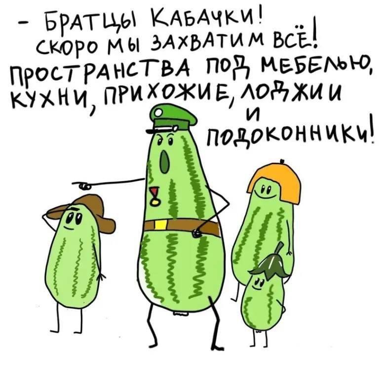 - Братцы Кабачки! 
скоро мы захватим всё! 
пространства под мебелью, 
кухни, прихожие, ложки 
и подоконники!