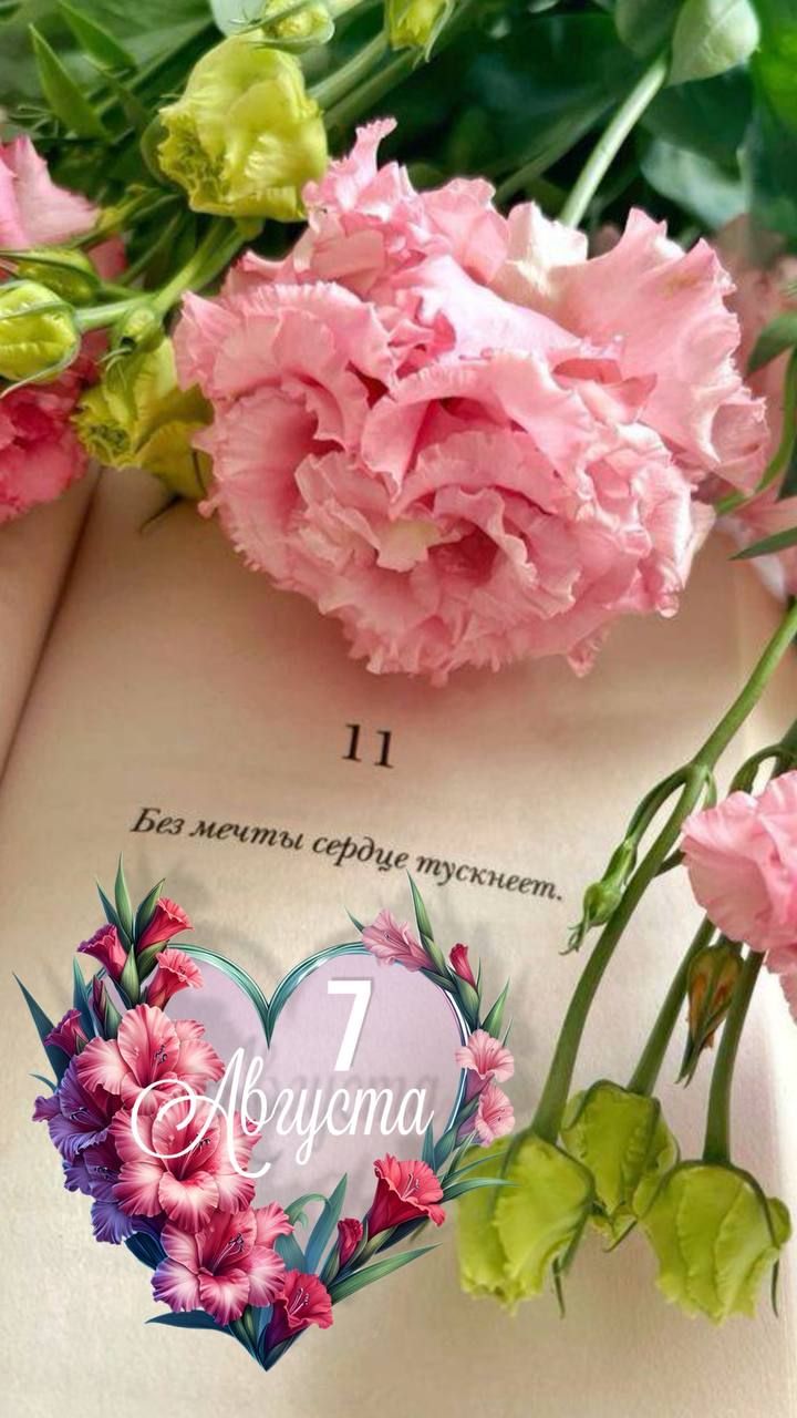11
Без мечты сердце тосковает.