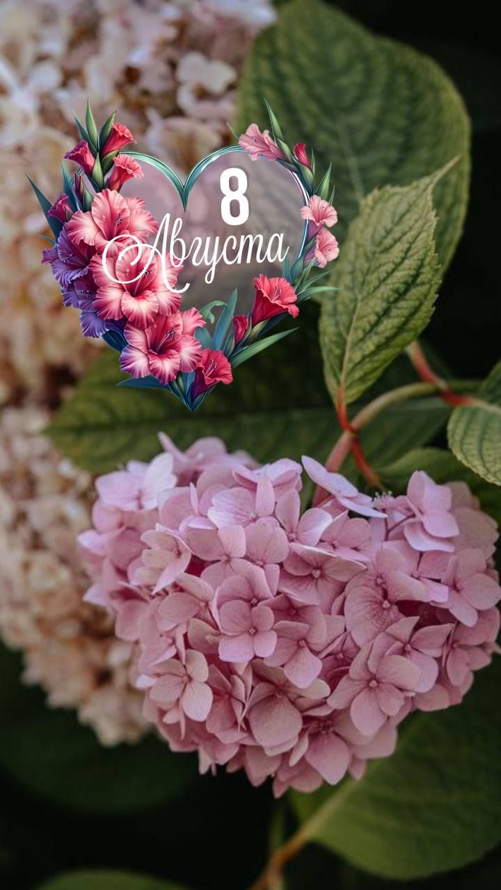 8 Августа