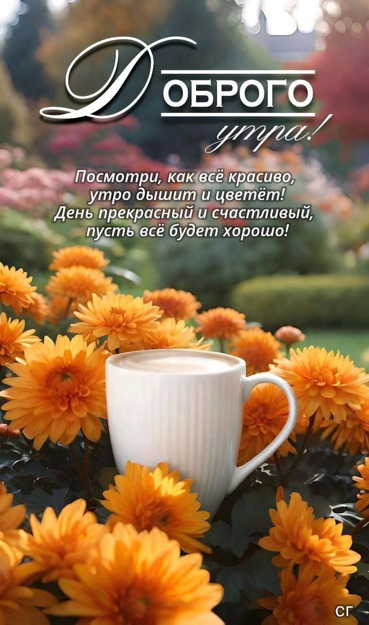 ДОБРОГО утра!
Посмотри, как всё красиво, утро дышит и цветет! День прекрасный и счастливый, пусть всё будет хорошо!
