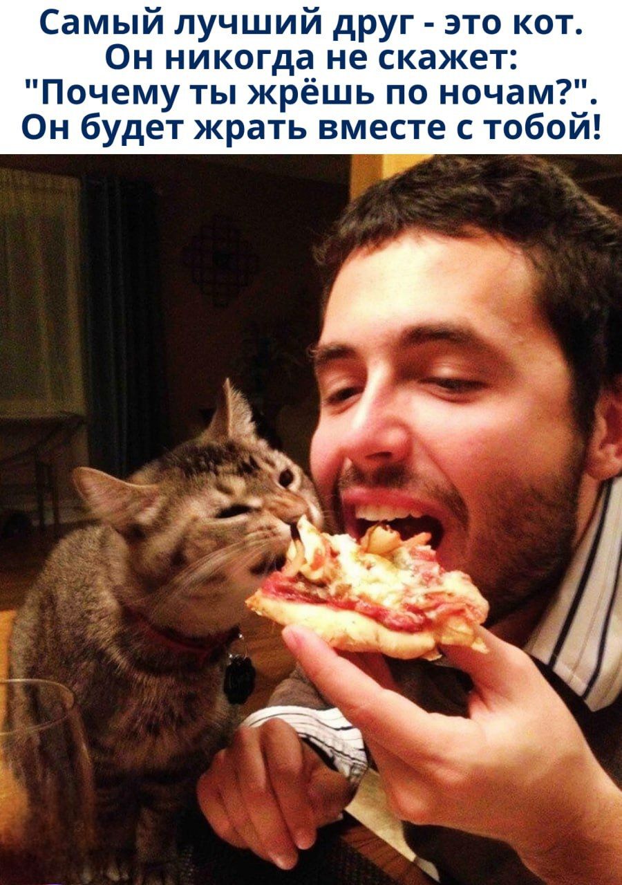 Самый лучший друг - это кот. Он никогда не скажет: 