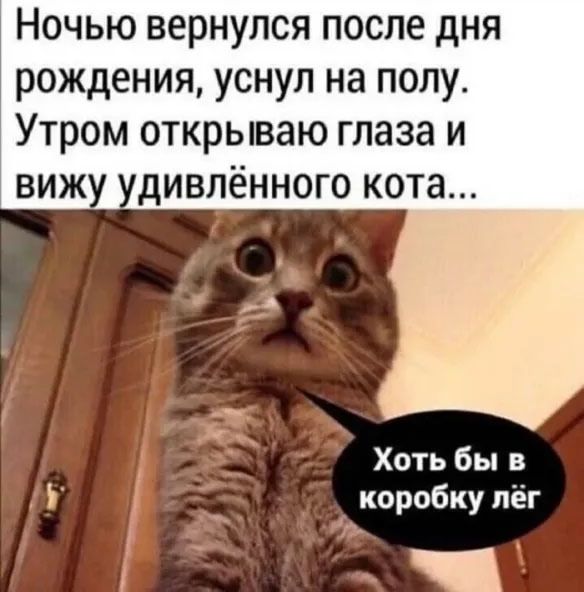 Ночью вернулся после дня рождения, уснул на полу. Утром открываю глаза и вижу удивлённого кота...
Хотя бы в коробку лёг.