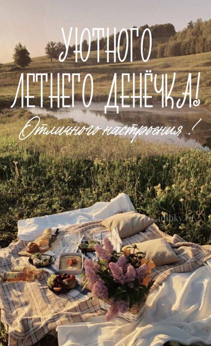 Уютного летнего денёчка! Отличного настроения!