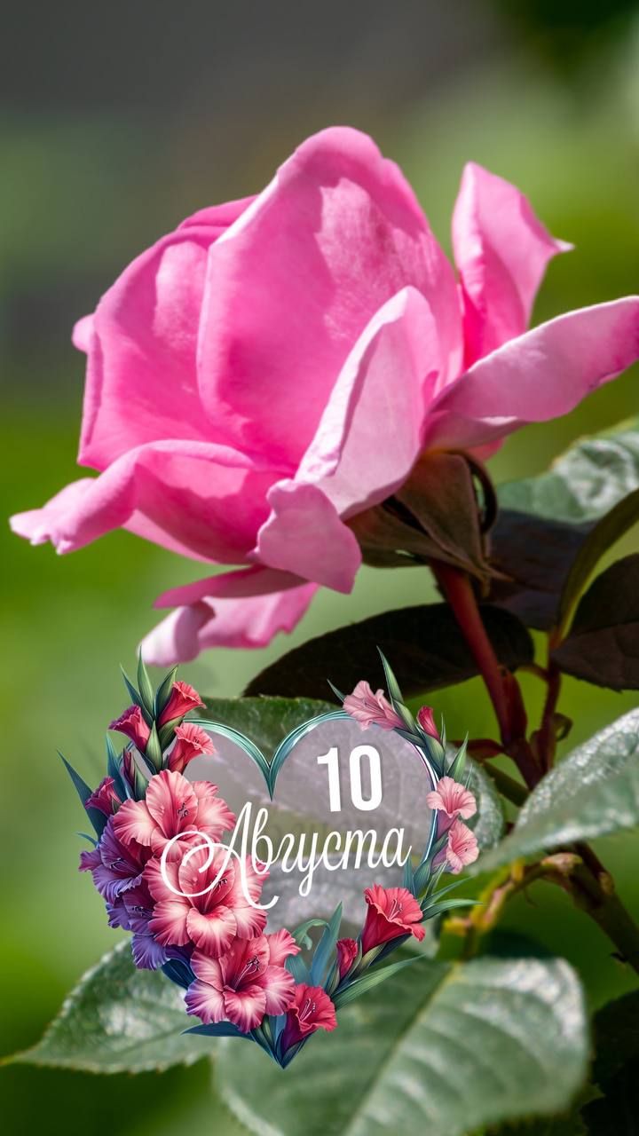 10 Августа