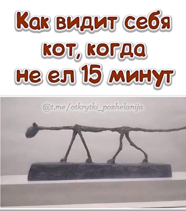 Как видит себя кот, когда не ел 15 минут