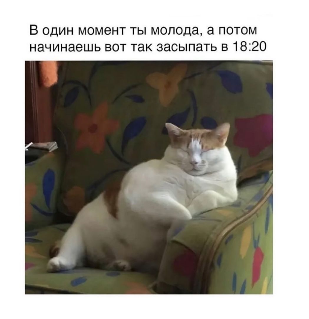 В один момент ты молода, а потом начинаешь вот так засыпать в 18:20