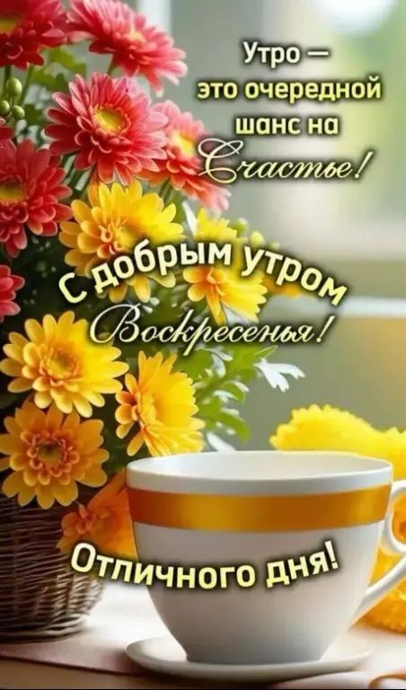 Утро — это очередной шанс на Счастье! С добрым утром Воскресенья! Отличного дня!