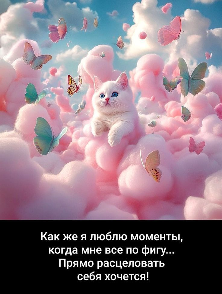 Как же я люблю моменты, когда мне все по фигу... Прямо расцеловать себя хочется!