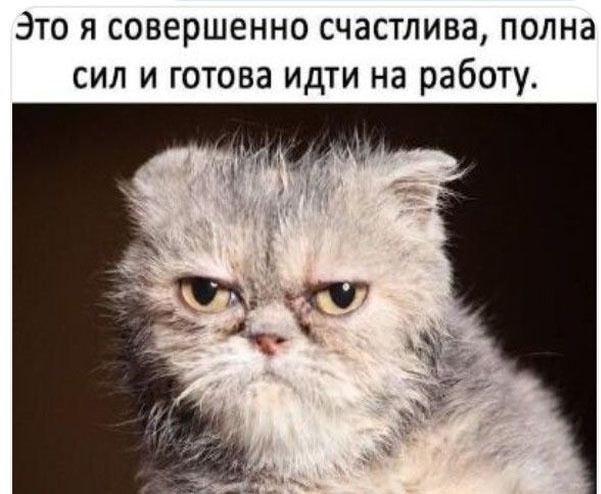 Это я совершенно счастлива, полна сил и готова идти на работу.