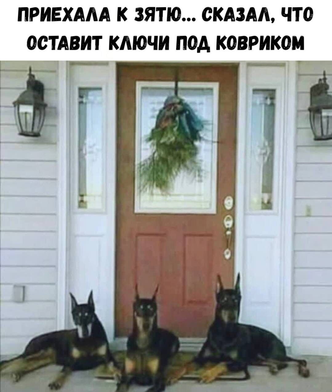 ПРИЕХАЛА К ЗЯТЮ... СКАЗАЛ, ЧТО ОСТАВИТ КЛЮЧИ ПОД КОВРИКОМ