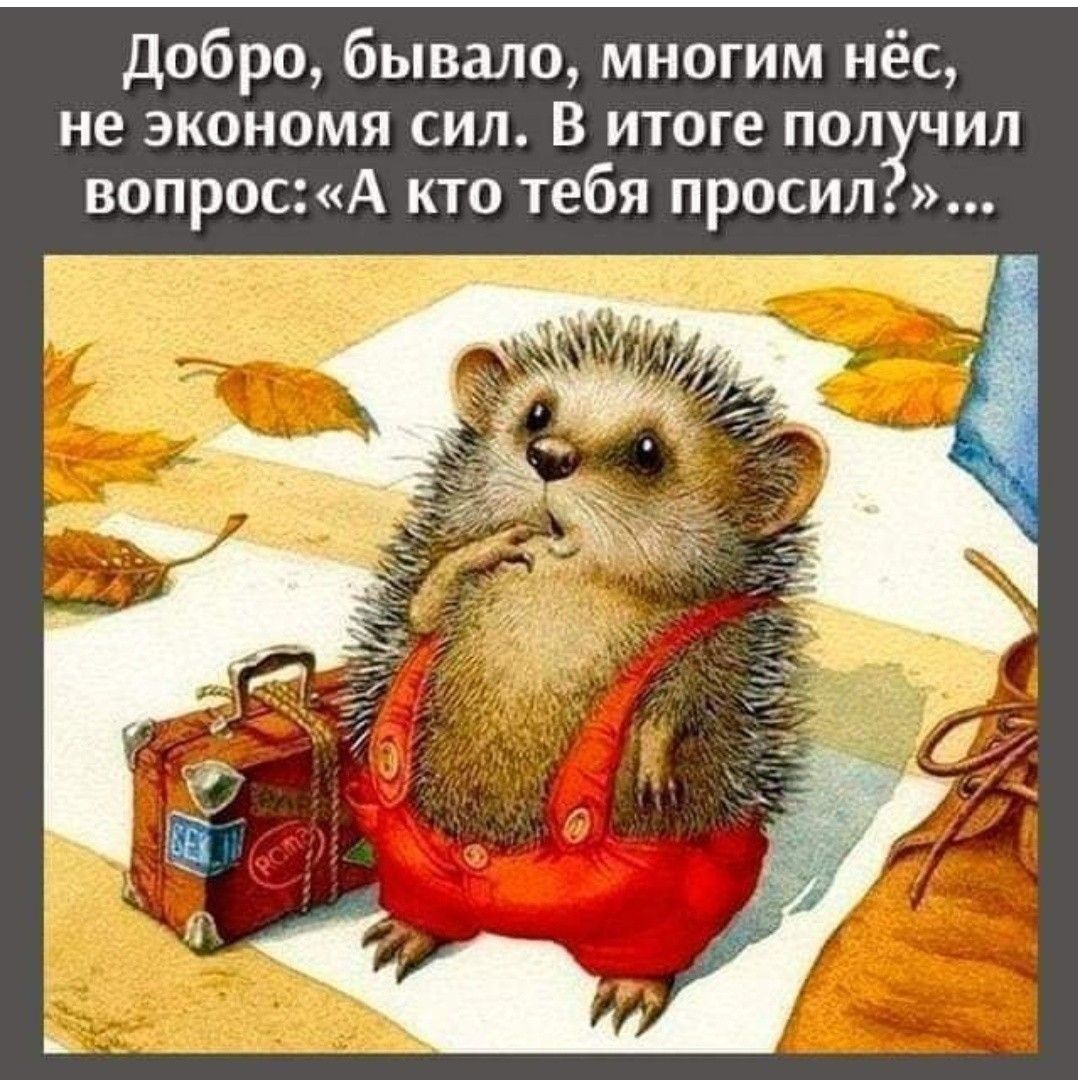 Добро, бывало, многим нёс, не экономя сил. В итоге получил вопрос: «А кто тебя просил?»...