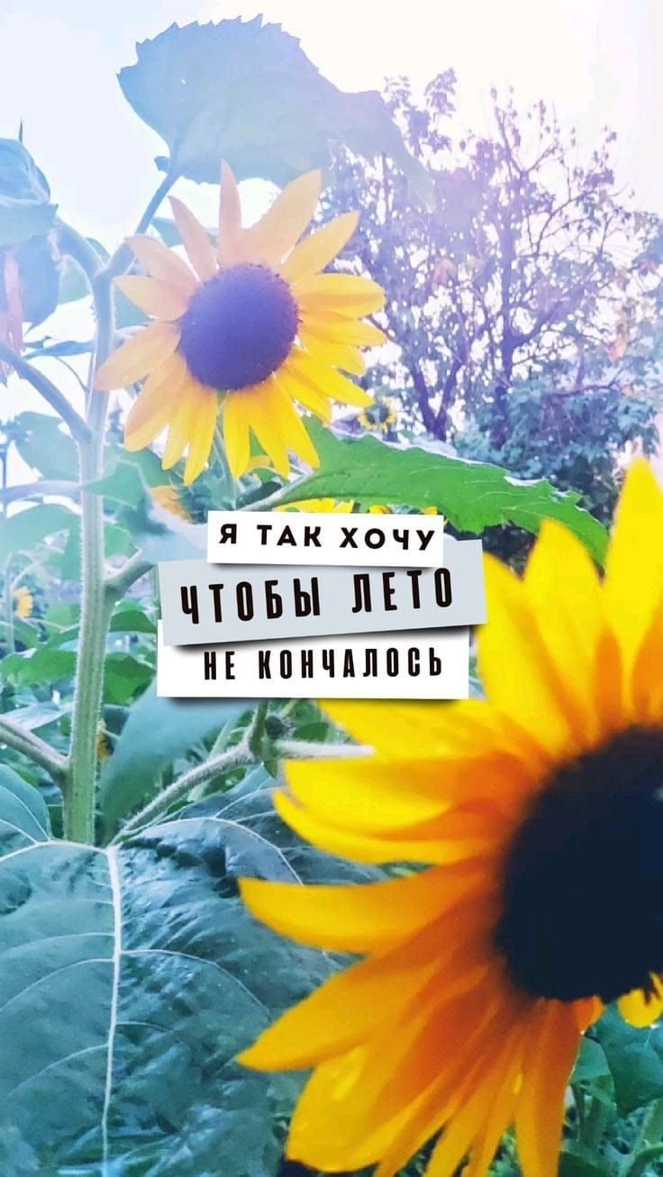 Я так хочу, чтобы лето не кончилось
