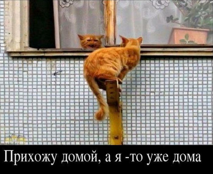 Прихожу домой, а я - то уже дома