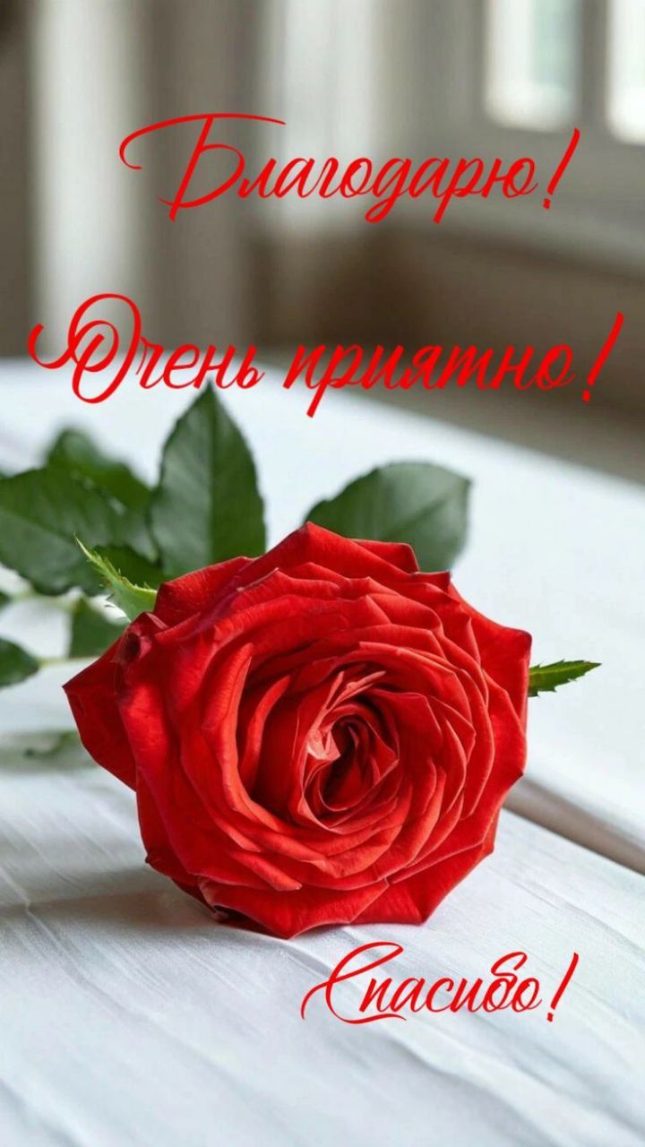 Благодарю! Очень приятно! Спасибо!