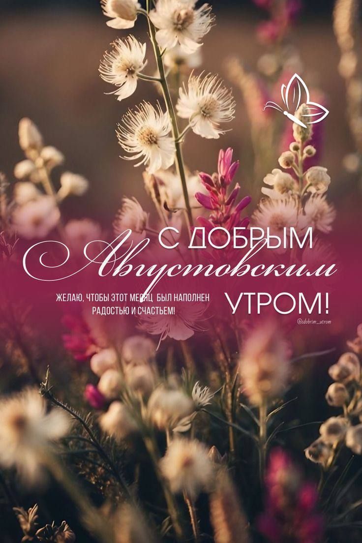 С ДОБРЫМ АВГУСТОВСКИМ УТРОМ! Желаю, чтобы этот месяц был наполнен радостью и счастьем!