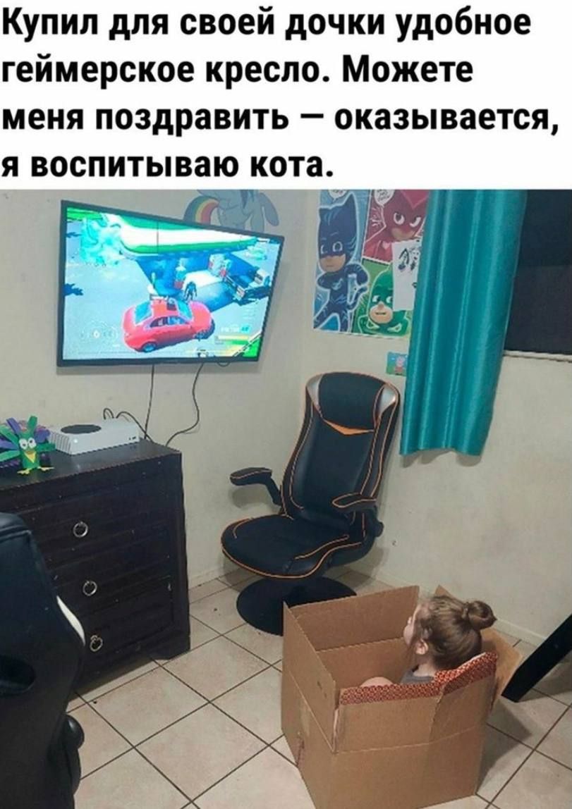Купил для своей дочки удобное геймерское кресло. Можете меня поздравить — оказывается, я воспитываю кота.