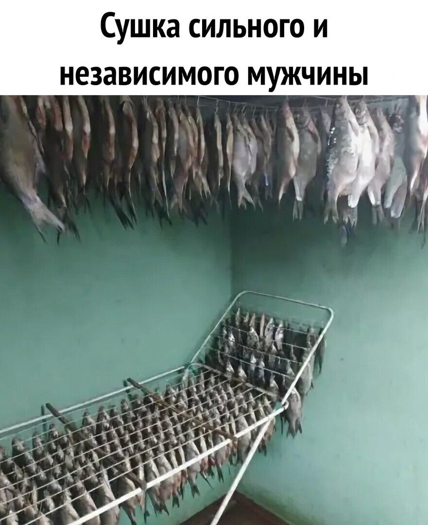Сушка сильного и независимого мужчины