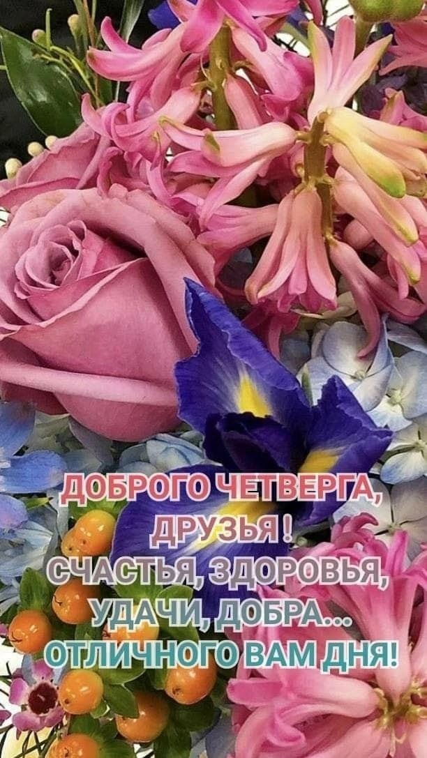 Доброго четверга, друзья! Счастья, здоровья, удачи, добра... Отличного вам дня!