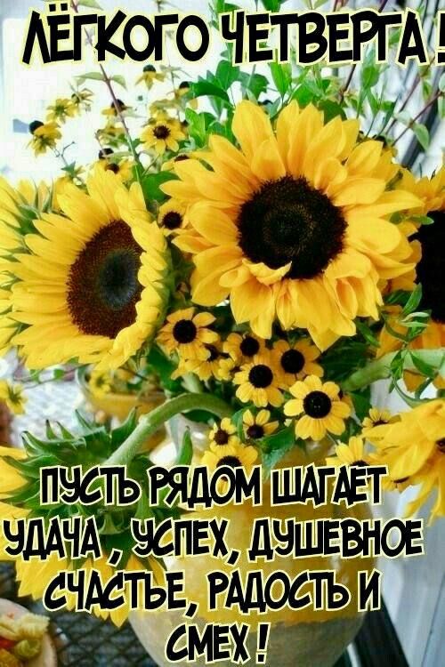 ЛЁГКОГО ЧЕТВЕРГА! ПУСТЬ РЯДОМ ШАГАЕТ УДАЧА, УСПЕХ, ДУШЕВНОЕ СЧАСТЬЕ, РАДОСТЬ И СМЕХ!