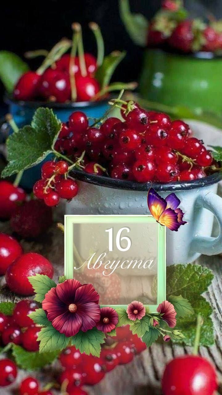 16 Августа