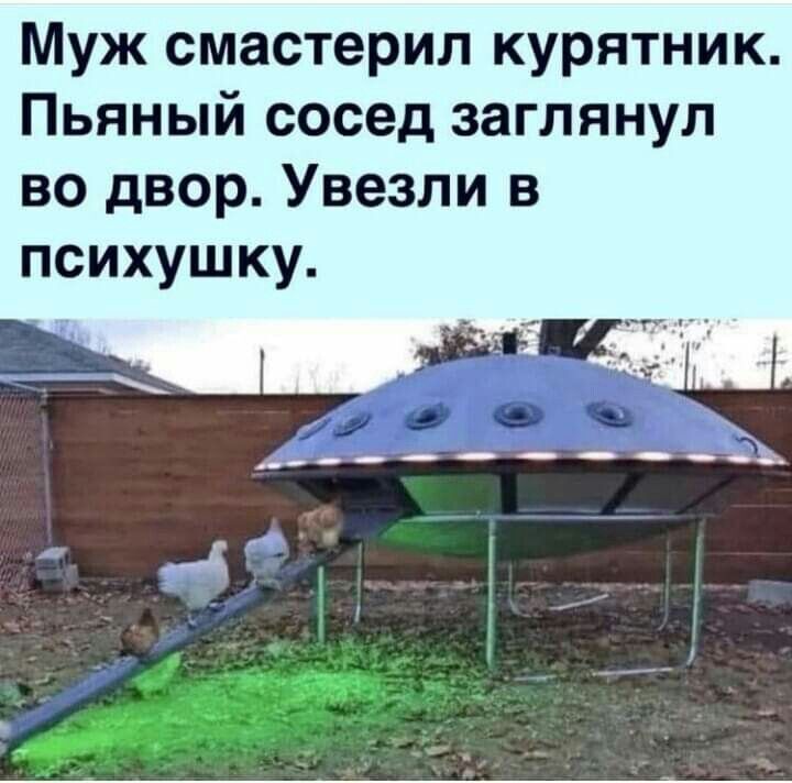 Муж смастрил курятник. Пьяный сосед заглянул во двор. Увезли в психушку.